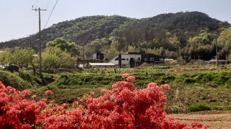 (삼도동)예쁜마을 광암복림마을