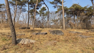 (동알이)삼도동 삼거동고인돌군